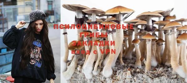 соль курить ск Армянск