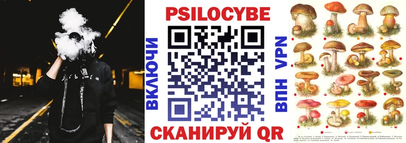 shop телеграм  Тара  Галлюциногенные грибы Magic Shrooms 